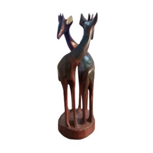 African giraffe wood calving - Front Image